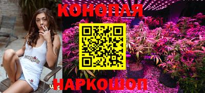 стаф Краснознаменск