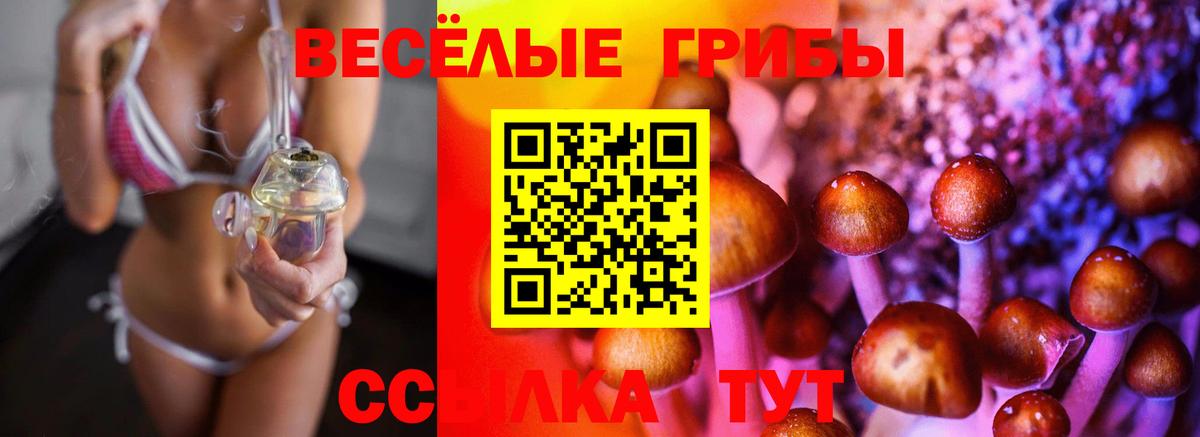 Псилоцибиновые грибы прущие грибы Кировск
