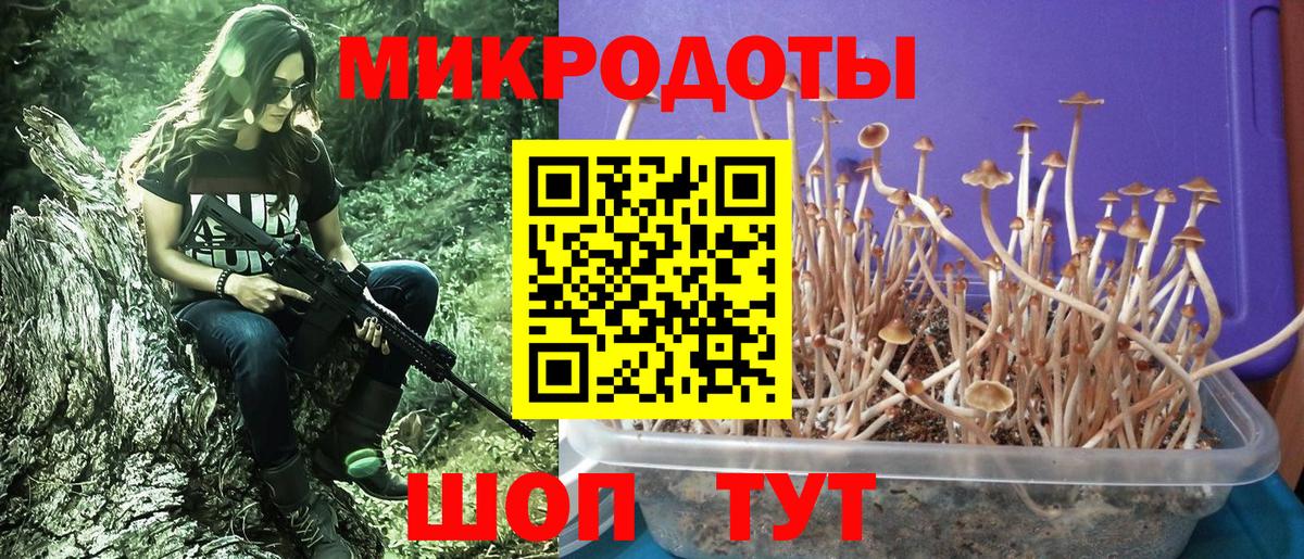 Галлюциногенные грибы Psilocybine cubensis  Галлюциногенные грибы MAGIC MUSHROOMS  купить закладку  Вход с VPN  Кировск 